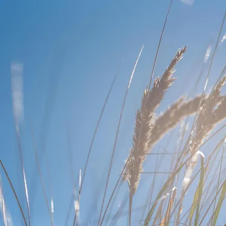 Apartment _von Witte_ Lindenstr_13 Whg_6